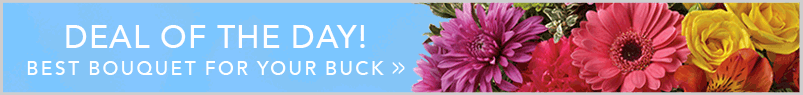 Send Flowers to McDonough, GA with Absolutely and McDonough Flowers & Gifts, your local McDonough florist